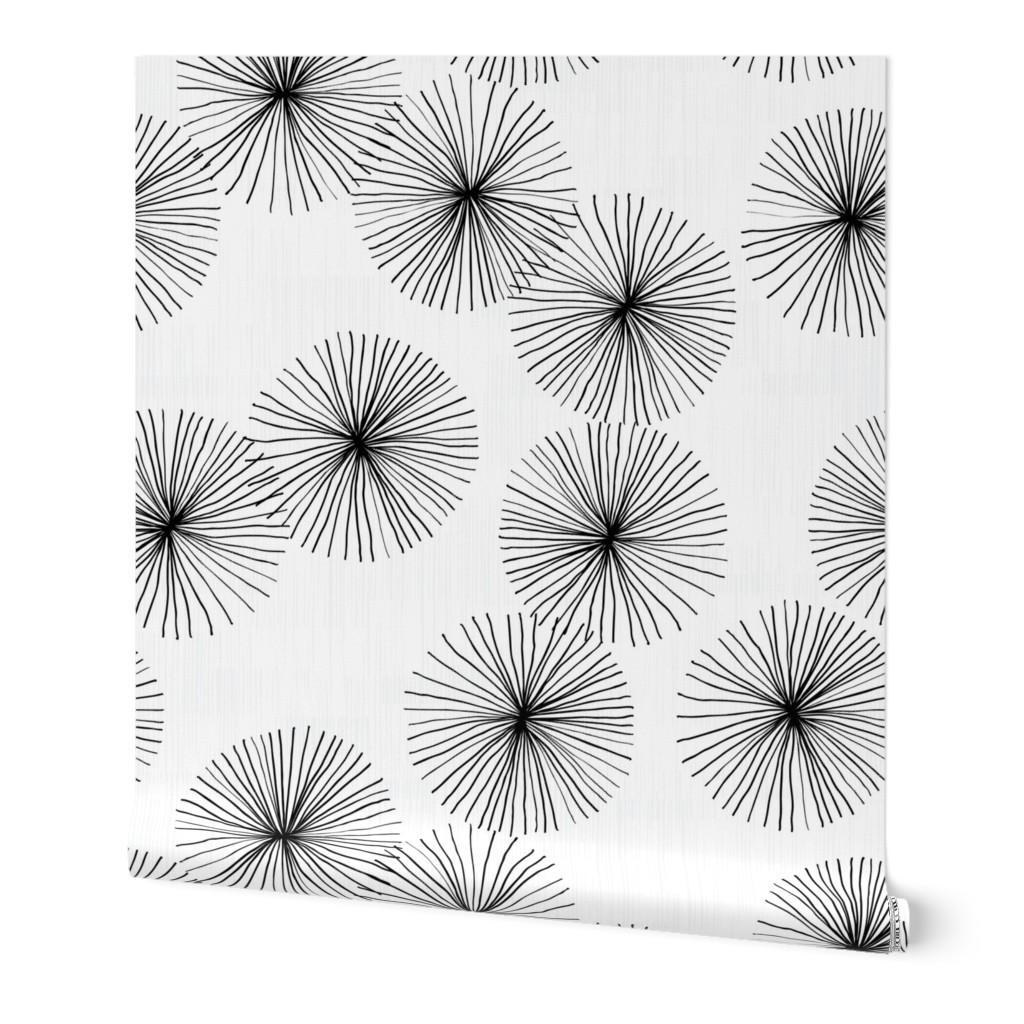 Dandelions White & Black by Friztin