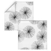 Dandelions White & Black by Friztin