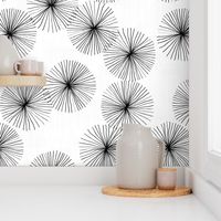 Dandelions White & Black by Friztin