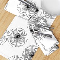 Dandelions White & Black by Friztin