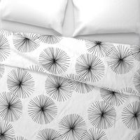 Dandelions White & Black by Friztin