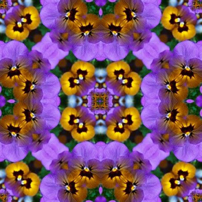 Pansy_Infinity_Square