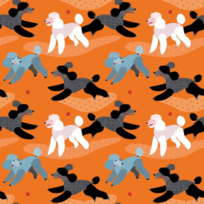 Poodles in the Park ORANGE // fun play dogs ball fetch polkadot vintage retro bright colourful puppies