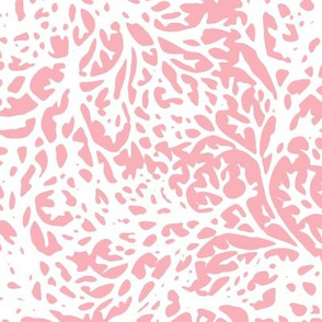 White Branches on Pink