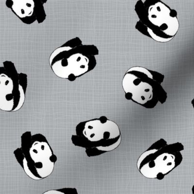 Little Pandas