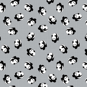 Little Pandas