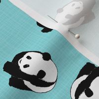 Little Pandas Aqua