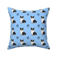 Pembroke Welsh Corgi with paw prints- Tri