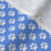 Half Inch White Paw Prints on Cornflower Blue