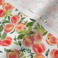 6" Watercolor Peaches