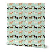 chihuahua dog pastel unicorn fabric cute mint and purple unicorn pegasus dogs