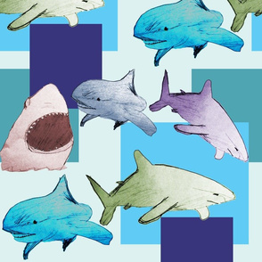 Paper sharks