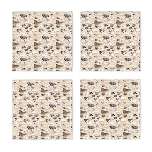 Pugs on the Move - taupe