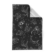 constellations // black and white kids constellations animals geometric triangles origami birds 