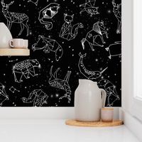 constellations // black and white kids constellations animals geometric triangles origami birds 