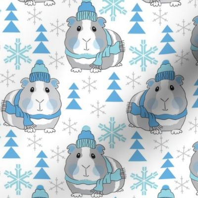 winter guinea pigs