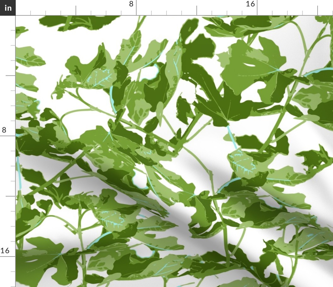 Fig, fig Leaf, leaf, fiddle leaf, print greens leaves large leaf