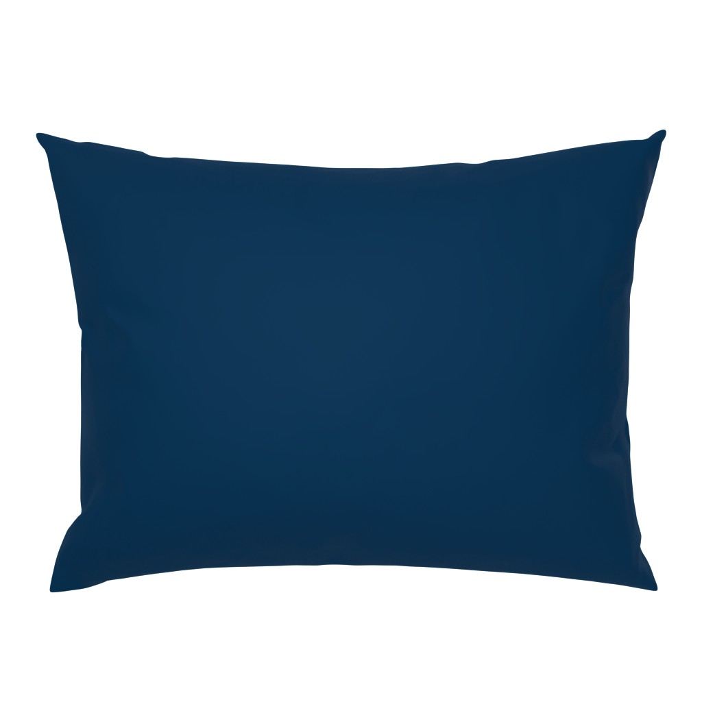 Solid Prussian Blue (#003153)