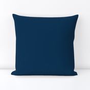 Solid Prussian Blue (#003153)