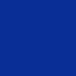 solid winter cobalt blue (092E96)