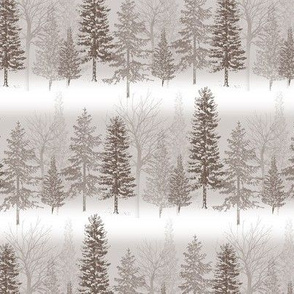 frosty forest - forest trees