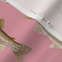 rainbow trout on rosebud pink - vertical