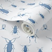 Blue Bugs Toile