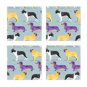 Dogs in the park / purple yellow black white pug dachshund boston terrier