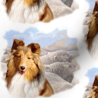 Shetland Sheepdog With Sheep