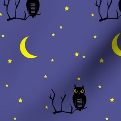 midnight owl under the moon
