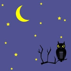 midnight owl under the moon