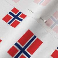 Norwegian Flag // Small 