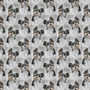 Puppy on Plaid - Shades of Grey