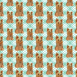 Yorkie Twirling Tiffany Dots