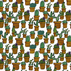 Cactus_jungle-01