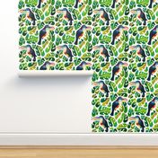 Curl Crested Aracari Toucans with monstera leaves