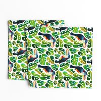 Curl Crested Aracari Toucans with monstera leaves