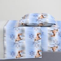 Italian Greyhound Fabric