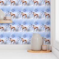 Italian Greyhound Fabric