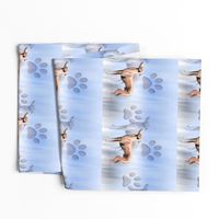 Italian Greyhound Fabric