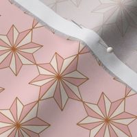 Star Mosaic Geometric Pink & Chestnut// small