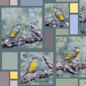 eastern_yellow_robins