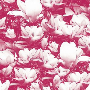 Magnolias Dark Pink Upholstery Fabric