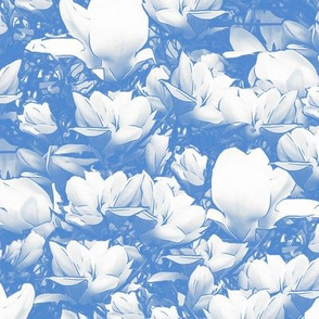 Magnolias Soft Blue Upholstery Fabric
