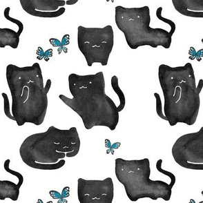 Black Cats and Butterflies