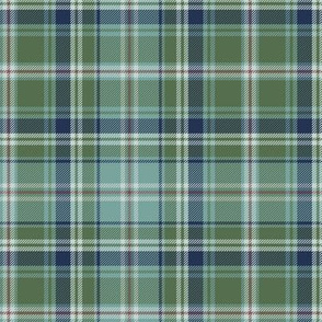 Cooper tartan, 6" Heriz palette