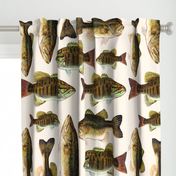 one yard of fish plushies - smallmouth bass and largemouth bass 