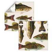 one yard of fish plushies - smallmouth bass and largemouth bass 