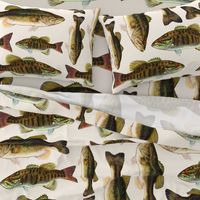 one yard of fish plushies - smallmouth bass and largemouth bass 