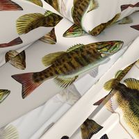 one yard of fish plushies - smallmouth bass and largemouth bass 